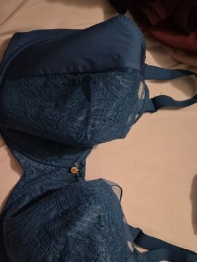 NWT Gorgeous peacock blue bra